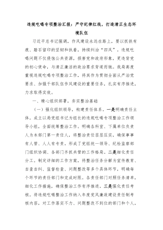 违规吃喝专项整治汇报：严守纪律红线，打造清正生态环境队伍