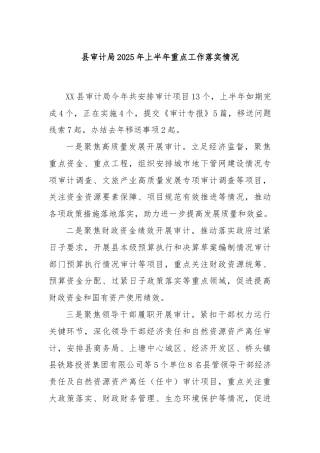 县审计局2025年上半年重点工作落实情况