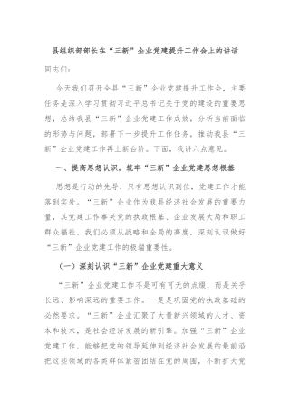 县组织部部长在“三新”企业党建提升工作会上的讲话