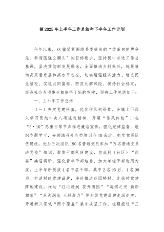 镇2025年上半年工作总结和下半年工作计划