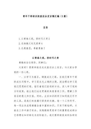(3篇)青年干部培训班座谈会发言稿汇编