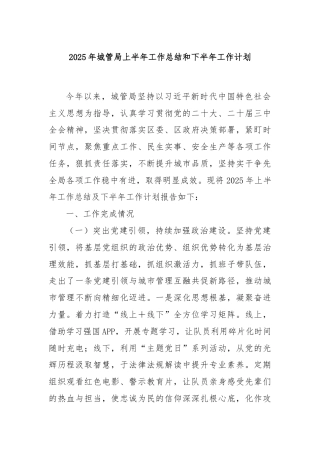 2025年城管局上半年工作总结和下半年工作计划