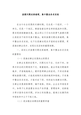 查摆问题动真碰硬，集中整治务求实效