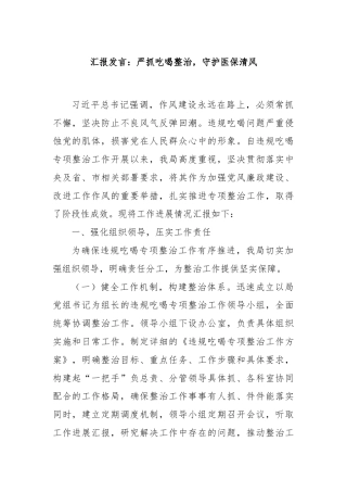 汇报发言：严抓吃喝整治，守护医保清风