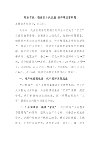 经验汇报：强基固本促发展 经济建设谱新篇