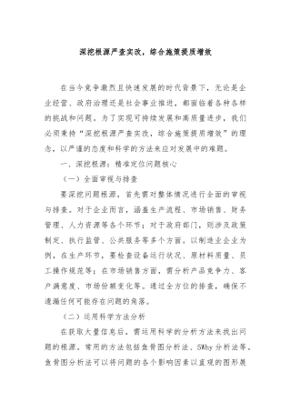 深挖根源严查实改，综合施策提质增效