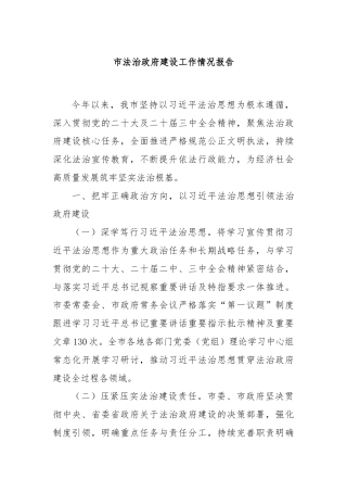 市法治政府建设工作情况报告
