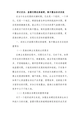 研讨发言：查摆问题动真碰硬，集中整治务求实效