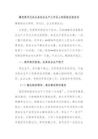 镇党委书记在全县安全生产工作会上的经验交流发言