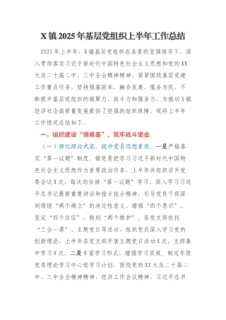 X镇2025年基层党组织上半年工作总结