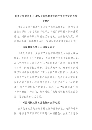 集团公司党委班子2025年巡视整改专题民主生活会对照检查材料