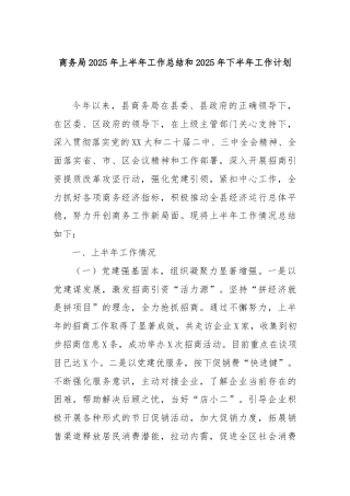 商务局2025年上半年工作总结和2025年下半年工作计划