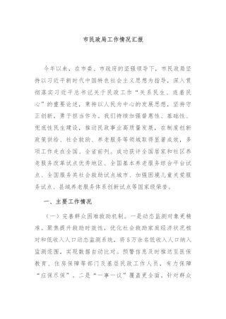 市民政局工作情况汇报