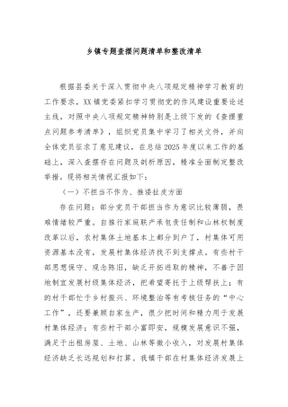 乡镇专题查摆问题清单和整改清单
