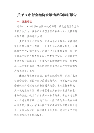 关于X市低空经济发展情况的调研报告