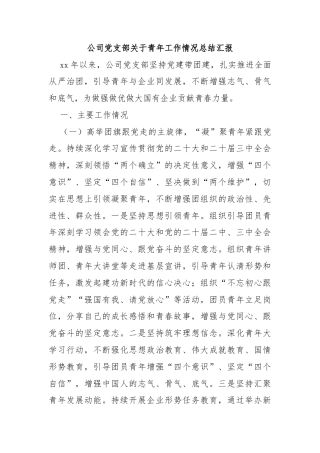 公司党支部关于青年工作情况总结汇报