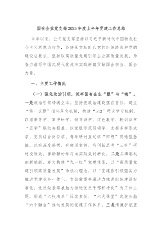 国有企业党支部2025年度上半年党建工作总结