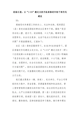 经验汇报：以“1＋N”模式为抓手纵深推进年轻干部作风建设