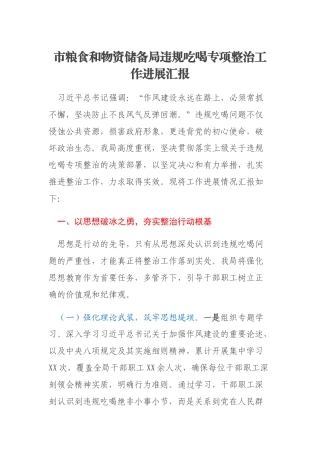 市粮食和物资储备局违规吃喝专项整治工作进展汇报