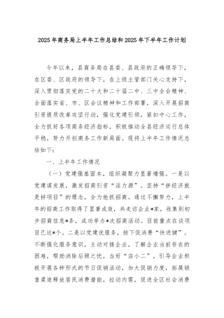 2025年商务局上半年工作总结和2025年下半年工作计划