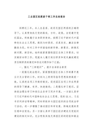 工业园区拟提拔干部工作总结报告