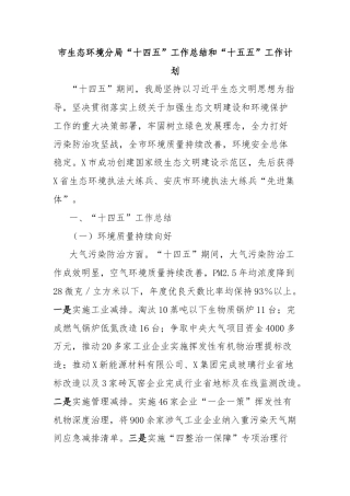 市生态环境分局“十四五”工作总结和“十五五”工作计划