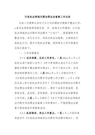 行政执法领域问题治理法治督察工作总结