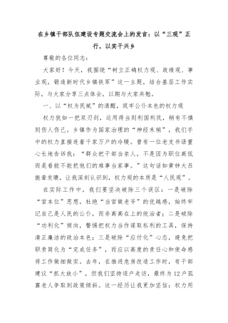 在乡镇干部队伍建设专题交流会上的发言：以“三观”正行，以实干兴乡