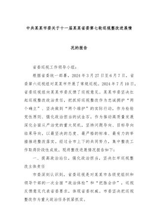 中共某某市委关于十一届某某省委第七轮巡视整改进展情况的报告