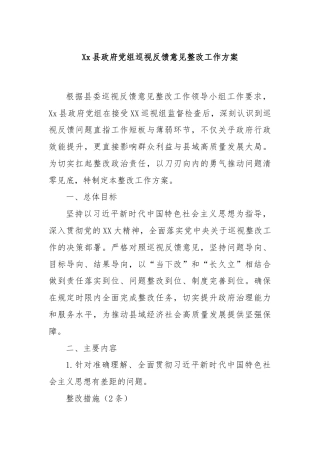 Xx县政府党组巡视反馈意见整改工作方案