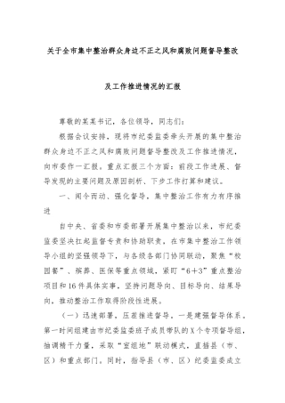 关于全市集中整治群众身边不正之风和腐败问题督导整改及工作推进情况的汇报