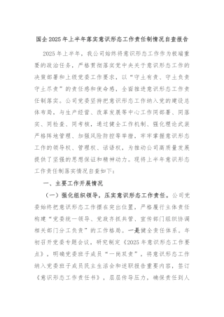 国企2025年上半年落实意识形态工作责任制情况自查报告
