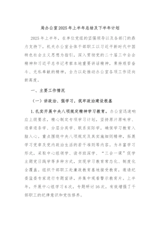 局办公室2025年上半年总结及下半年计划