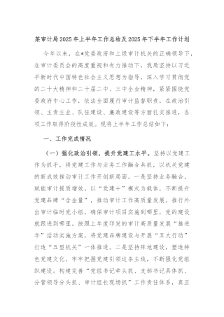 某审计局2025年上半年工作总结及2025年下半年工作计划
