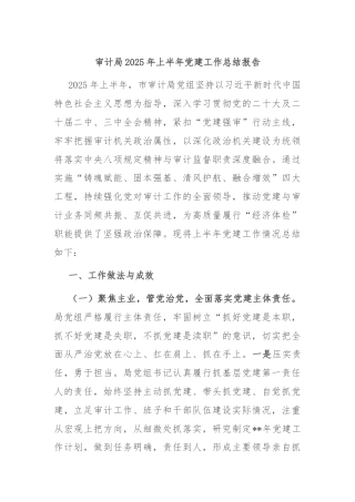 审计局2025年上半年党建工作总结报告