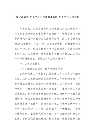 审计局2025年上半年工作总结及2025年下半年工作计划