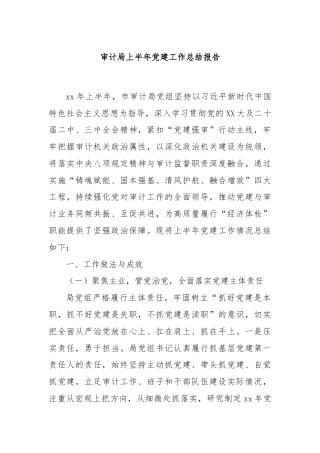 审计局上半年党建工作总结报告