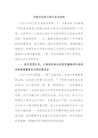 市委书记学习研讨发言材料
