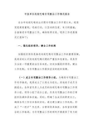 市直单位违规吃喝专项整治工作情况报告