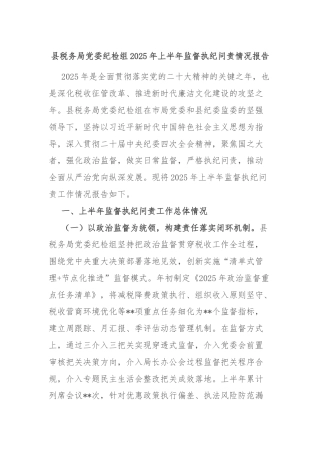 县税务局党委纪检组2025年上半年监督执纪问责情况报告