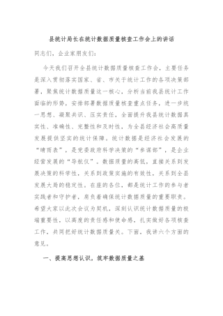 县统计局长在统计数据质量核查工作会上的讲话