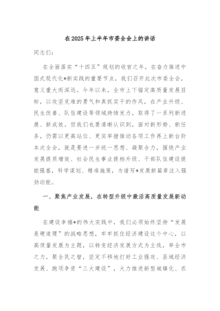 在2025年上半年市委全会上的讲话