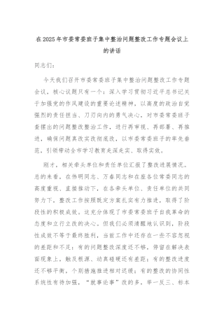 在2025年市委常委班子集中整治问题整改工作专题会议上的讲话