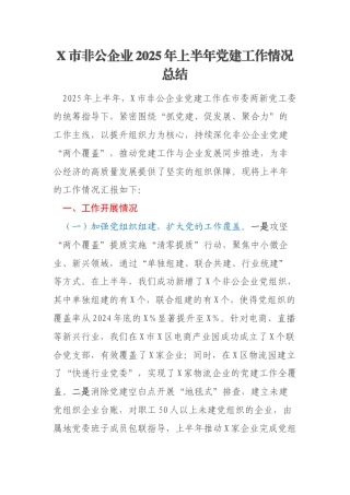 X市非公企业2025年上半年党建工作情况总结