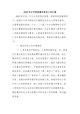 2025年公司党委意识形态工作汇报