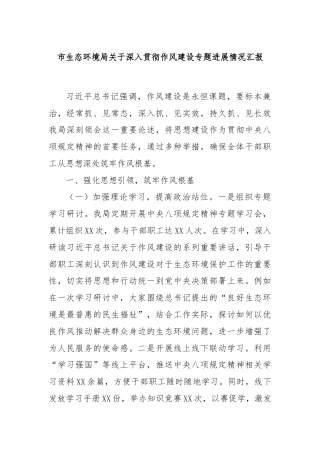 市生态环境局关于深入贯彻作风建设专题进展情况汇报