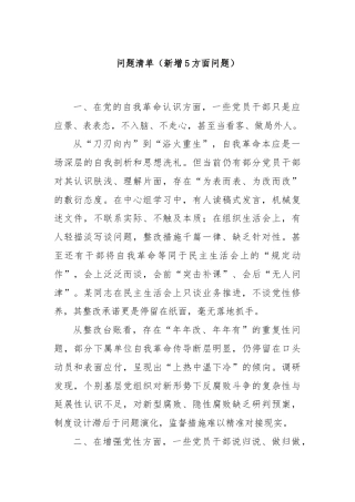 问题清单（新增5方面问题）
