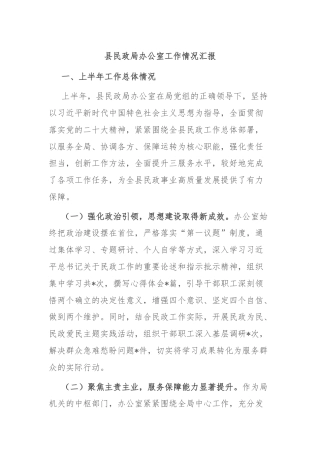 县民政局办公室工作情况汇报