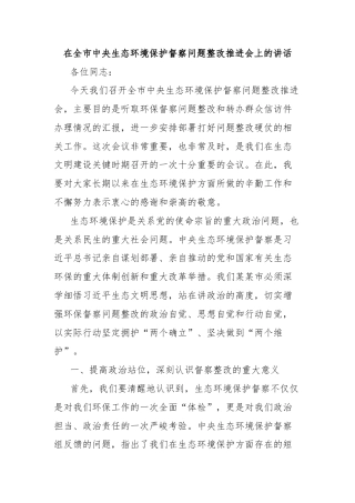 在全市中央生态环境保护督察问题整改推进会上的讲话