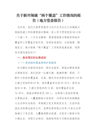 关于新兴领域“两个覆盖”工作情况的报告（地方党委报告）